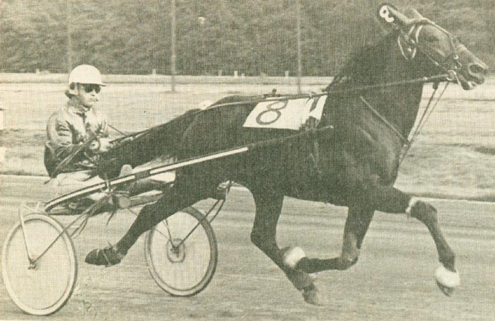 Archief van de Ned. Draf- en Rensport