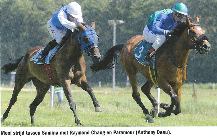 Samima R Archief van de Ned. Draf- en Rensport